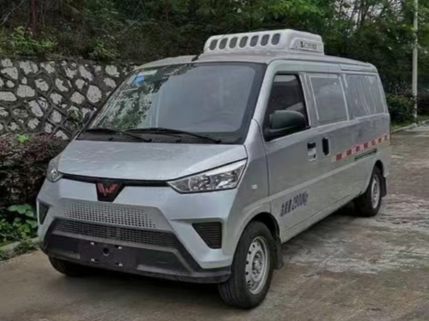 Лиучжоу Wuling чистый электрический холодильник хлеба