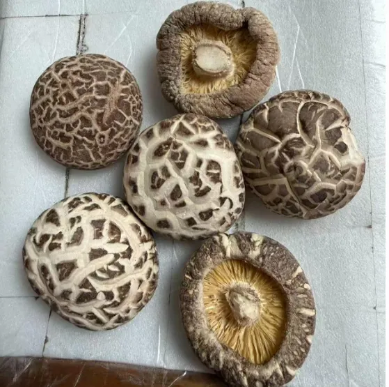 шампиньон